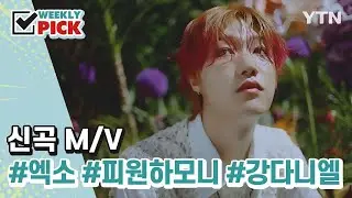 K-pop 신곡 뮤비👉엑소, 피원하모니, 강다니엘 [위클리픽] / YTN korean