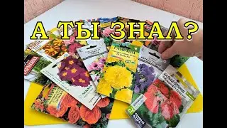 8 ЦВЕТОВ, которые сеем на рассаду в НОЯБРЕ🌻🌻🌻
