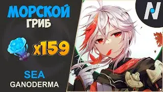 ALL SEA GANODERMA - FARMING ROUTE INAZUMA | GENSHIN IMPACT