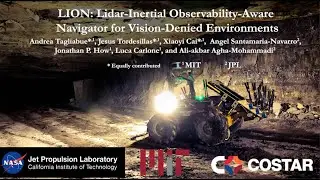LION: Lidar-Inertial Observability-Aware Navigator for Vision-Denied Environments