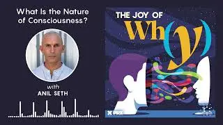 What Is the Nature of Consciousness? | Podcast: The Joy of Why