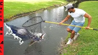 CATCHING CRITTERS Out of GATOR MUD HOLE!