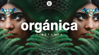 ORGANICA MIX | Finest Organic & Ethno Deep House Music | Dj Mix by Marga Sol