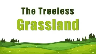 The treeless Grasslands l Prairies l Class 5 Social Science