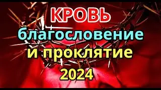 Кровь и жертвы войны, невинная кровь, проклятие и благословение? Слово к Церкви, к верующим 2024 год