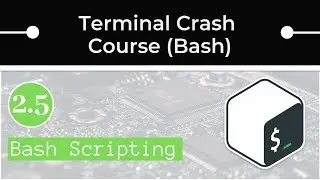 Bash Scripting Basics