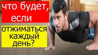 Что будет если отжиматься каждый день? Отжимания от пола! Отжимания!