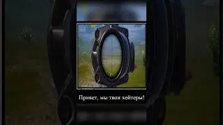 Меня опять убили хейтеры...