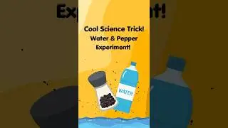 Cool Science Trick! Water & Pepper Experiment! 