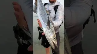 Береговая рыбалка в Абу Даби 