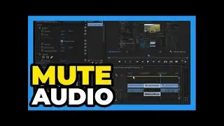 Premiere Pro CC： How to Mute Part of Audio