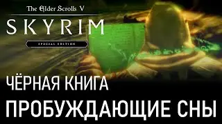 #74 Чёрная книга, Пробуждающие сны. Апокриф, Воплощение дракона. Прохождение игры Скайрим Dragonborn