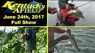 June 24, 2017 Full Show - Rough River Crappie, Prothonotary Warblers, Drop Shot Fishing