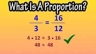 What Is A Proportion? - How To Solve For Proportions Using Cross Products - Is A Proportion True?