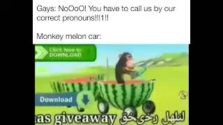Monkey Melon Car