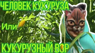 Человек кукуруза 🌽 Мифическая история