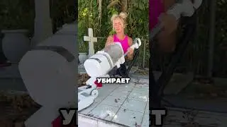 Эта древняя могила была снова очищена 🤯