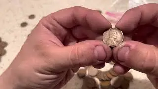 Part 2 of an Unsearched Bag of 500 Wheat Pennies!