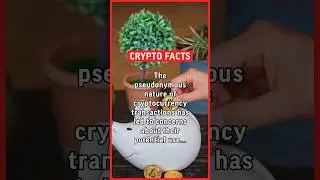 The pseudonymous nature of cryptocurrency transactions has led to concerns about… #crypto