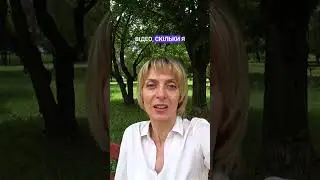 🐶 Чому в Іспанії немає безпритульних собак? #іспанія #собаки #собачка #безпритульнітварини