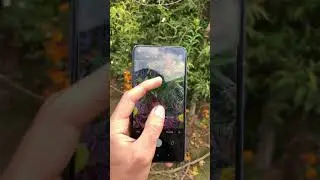 Redmi note 9 camera review