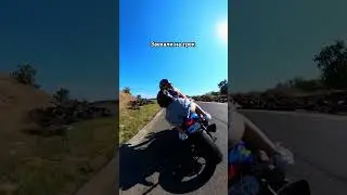Булки на прогулке. Заехали на трек