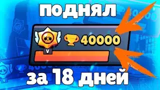 ЭТОТ МОНСТР ПУША ПОДНЯЛ 40000 КУБКОВ ЗА 18 ДНЕЙ! ТОП 5 ИГРОКОВ МИРА.