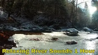 RELAXING MUSIC FOR STRESS RELIEF RIVER SOUNDS 🌊