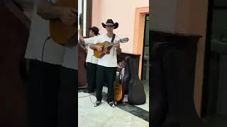 Cuban live music in Havana, Ovispo street