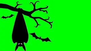 Halloween 🎃 Bat Animation | Green Screen | Free | 