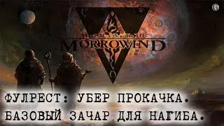 Morrowind Fullrest TR 2 Прокачка с нуля Базовый зачар для нагиба Имбалансный посох на 900 ёмкости