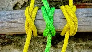 10 Best Knots: 10 Essential Knots You Should Remember