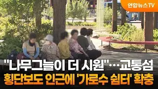 "나무그늘이 더 시원"…교통섬·횡단보도 인근에 '가로수 쉼터' 확충 / 연합뉴스TV (YonhapnewsTV)