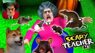 Злая Училка Мисс Ти стала чернокожей► Локи и училка ► Scary Teacher 3D miss t .