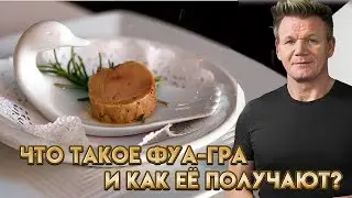 Что такое фуа-гра и как готовить: мастер-класс от Гордона Рамзи