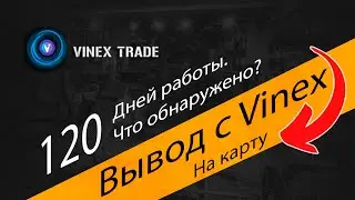 ⛔Дела у Vinex Trade сегодня - хуже некуда