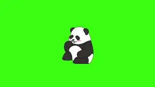 Green screen | Panda | Animation | Footage | Download | №120