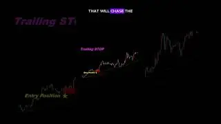 Multiple Assets Trading #shorts  #trading #algorithmictrading #forex #tradingmethods #bollingerbands