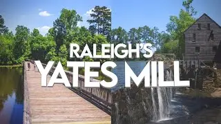 Raleigh's Most HISTORIC and PHOTOGRAPHIC Hike | Yates Mill