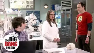 Sheldon Interrupts Howard and Amy's Collaboration | The Big Bang Theory