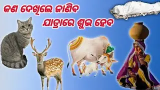 କଣ ଦେଖିଲେ ଜାଣିବ ଯାତ୍ରାରେ ଶୁଭ ହେବ । Watch This Before You Travel | Learn the Secrets of a Journey