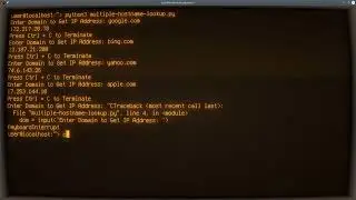 Python ASMR - Multiple Hostname to IP Lookup - No Talking