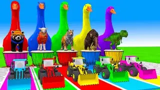 5 Giant Duck Cartoon,Cow,Elephant,Tiger,Lion,Dinosaur,Paint Wild Animals Crossing Fountain Animation