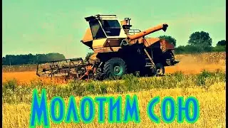 Комбайн Нива молотит сою Комбайнеры Harvester Niva threshes soybeans Жнива 