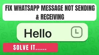 Fix WhatsApp message not sending and receiving problem