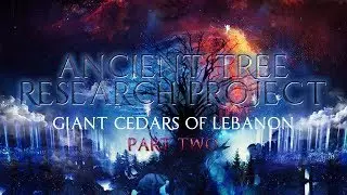 Ancient Tree Research Project | Giant Cedars of Lebanon Part 2 ▶️️