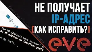 EVE-NG не получает IP -адрес в режиме МОСТ на VMware Workstation - Как исправить?