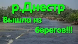 Днестр вышел из берегов. Затопление. Турунчук. Уровень Днестра. Понтонный мост Троицкое. Рыбаки.
