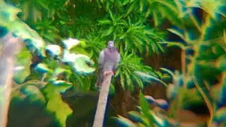 Normal Day ♥︎ | Cinematic Video