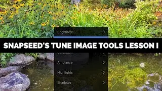 How To Use The Tune Image Tools In Snapseed From Google